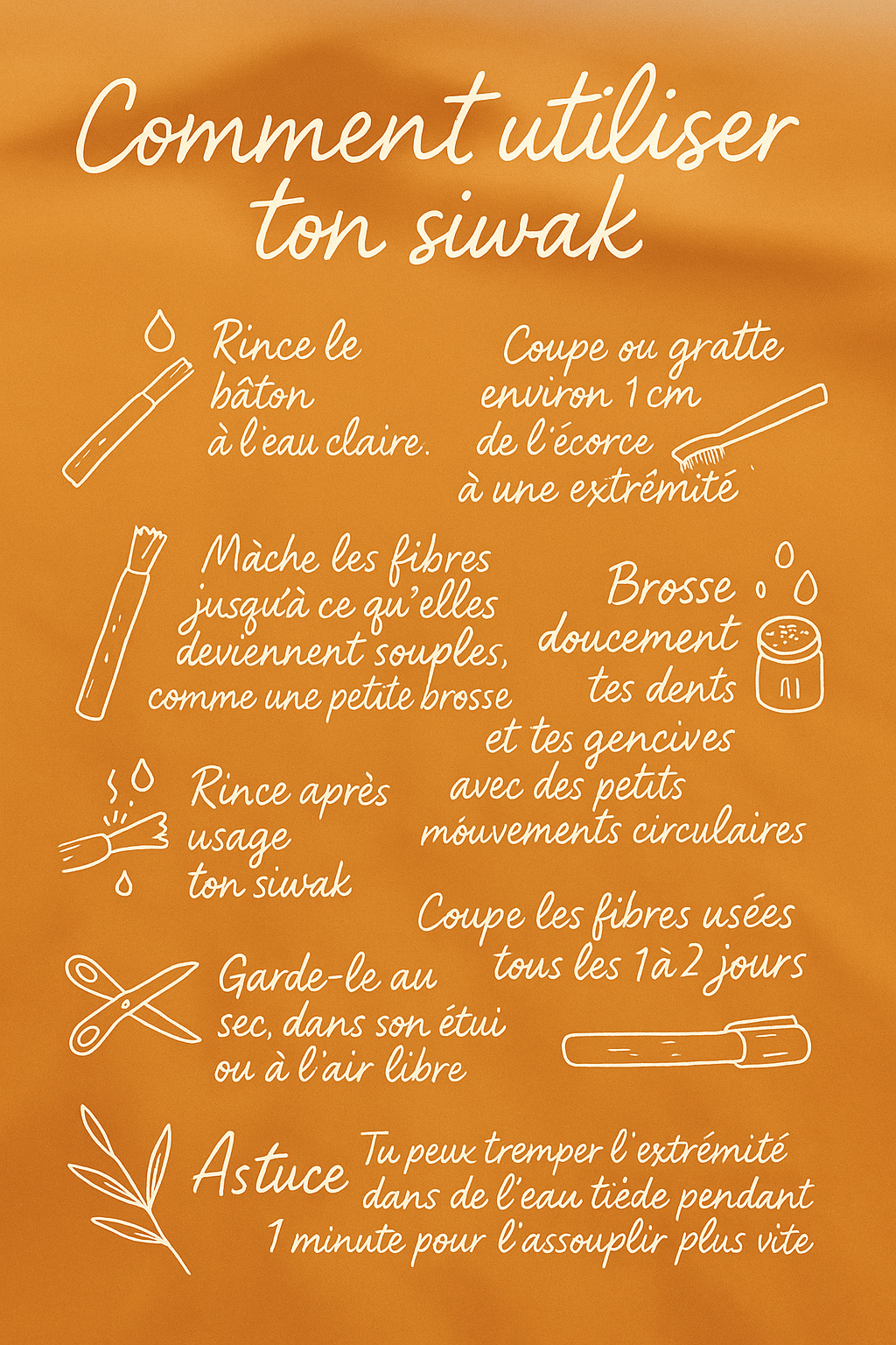 Pack Mix 4 Goûts